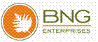 bng_logo.gif