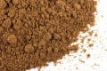 Celery Seed Ground/Whole Conventional or Organic Bulk