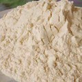 Wheat Protein Isolate Powder Bulk