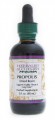 Propolis Resin Liquid Extract Herbalist & Alchemist