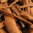 Cinnamon Bark Essential Oil Organic  Bulk