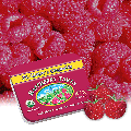 Raspberry Tarts Candy Sweets Organic 1.5 oz(43g) Tin St. Clare's Organics