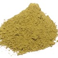 Guduchi/Giloy Organic Powder Bulk