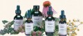 Healthy Kid's Compound Alcohol-Free Liquid Herbalist & Alchemist