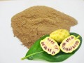 Noni Fruit Powder Bulk