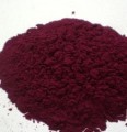 Grape Skin Powder Bulk