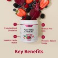 Nitric Oxide Beets Mixed Berry Superfood Powder Organic 8.8 oz Snap Supplements