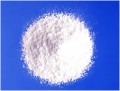 Coral Calcium Powder Bulk