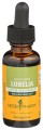 Lobelia Liquid Extract 1 fl oz(30ml) HerbPharm