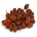 Rosehips Fruit (Rosa Canina) Certified Organic/Wildcrafted Bulk