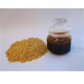 Chili Hot Pepper Seed Carrier Oil Bulk