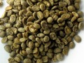 Coffee Beans Green Raw Ground/Whole Bulk