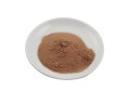 Rhassoul Clay Micronized Powder Bulk from Morocco