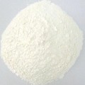 Arrowroot Thickener Powder Conventional/Organic Bulk