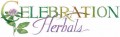 Celebration Herbals Herbal Tea Ginger Lemonade Certified Organic 24 Tea Bags
