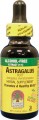 Astragalus Root Liquid Extract 2000mg Alcohol-Free 1 fl oz Nature's Answer