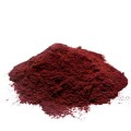 Bilberry Fruit Powder/Whole Bulk