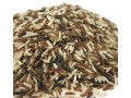 Exotic Natural Rice Blend Bulk