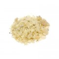 Copal Oro (Gold) Gum Resin Pieces Wildcrafted Bulk