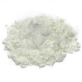 Corn Starch Powder Conventional/Certified Organic Bulk