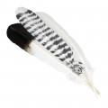 Imitation Ceremonial Eagle Feather Sage Spirit