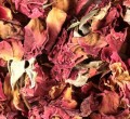 Rose Buds & Petals Red Bulk