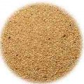 Amaranth Whole Grain Organic Bulk Bob's Red Mill