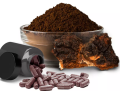 Chaga Mushroom Powder Bulk