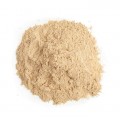 Maitake Mushroom Powder Bulk