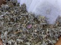 Sage & Cedar Native American Incense Herbal Blend Bulk