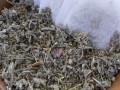 Sage & Cedar Native American Incense Herbal Blend Bulk