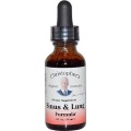 Sinus & Lung Formula Liquid Extract 1 fl oz (30ml) Dr. Christopher's Formulas