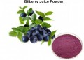 Blueberry Fruit Juice Powder Bulk