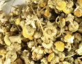 Chamomile Flower Bulk