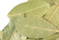 Bay Leaf Bulk