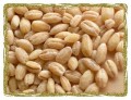 Pearled Barley Grain Organic Bulk