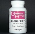 Bladder Up (Cucurbita Pepo) 1000 mg 90 SoftGels Ecological Formulas