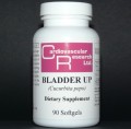 Bladder Up (Cucurbita Pepo) 1000 mg 90 SoftGels Ecological Formulas