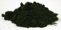 Chlorella Seaweed Algae Powder Organic Bulk