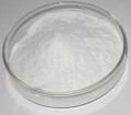 Collagen Bovine Hydrolyzed Powder  Bulk