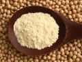 Soy Flour, Baker's Nutri Defatted Natural Bulk