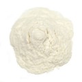 Bromelain Powder 300 GDU Bulk From USA