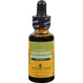 Bugleweed Liquid Extract Herbal Supplement 1 fl oz HerbPharm