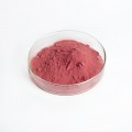 Red Raspberry Fruit Powder Bulk