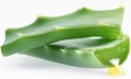 Aloe Vera Gel 99.5% Organic Pure All-Natural Bulk
