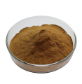 Senna Leaf Powder Extract (PE) 10% Sennosides Bulk