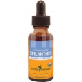 Spilanthes Liquid Extract 1 fl oz(30ml) HerbPharm