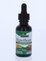 Hawthorn Berry, Leaf & Flower Alcohol-Free Liquid Extract Nature's Answer
