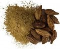 Haritaki Fruit Standardized Powder PE 40% Tannins (Terminalia Chebula) Bulk