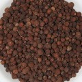 Allspice Bulk